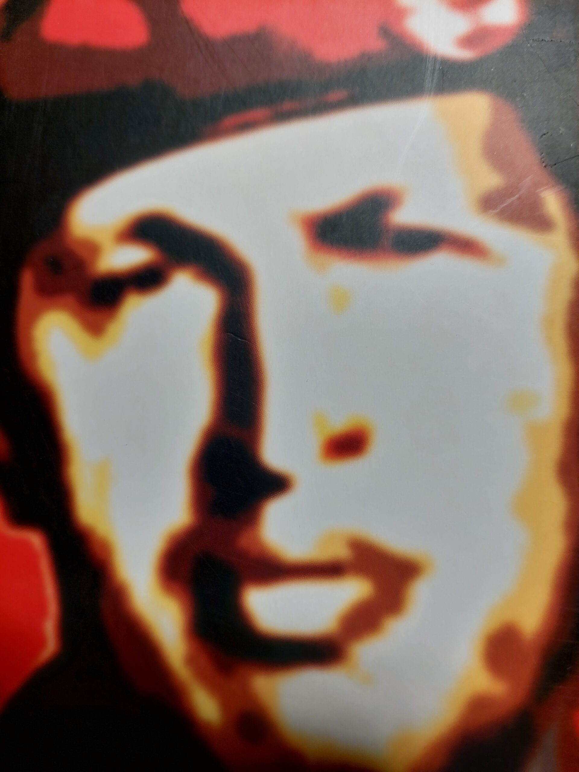 Das Bild zeigt das Konterfei von Hugo Chavez.