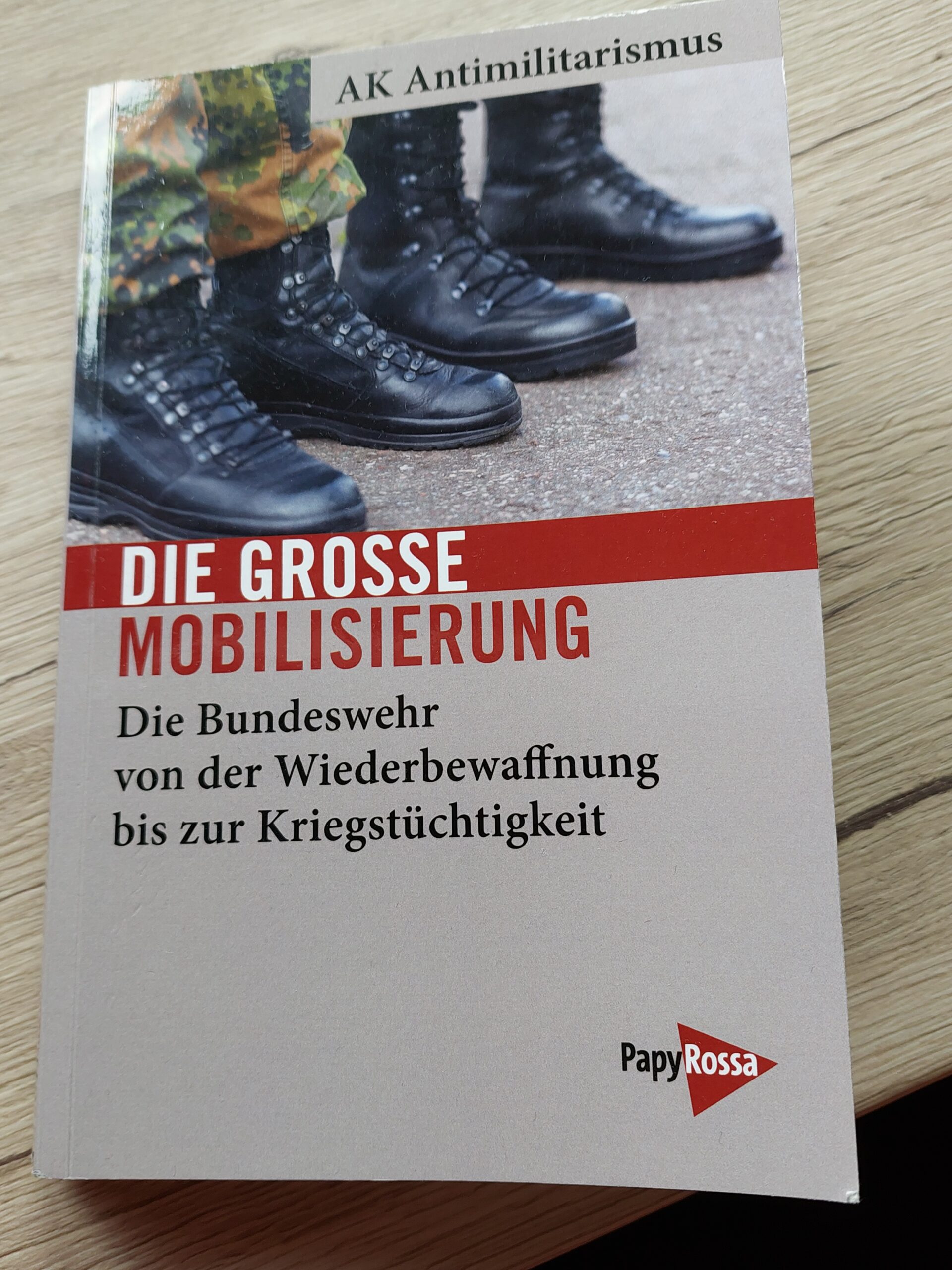 Die Große Mobilisierung – ein Gespräch mit Jakob und Thomas